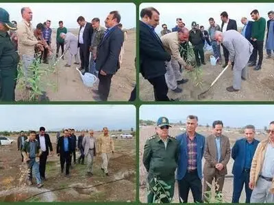  نیازِ چوبی کشور سالانه چقدر است؟