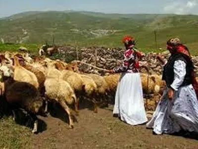 بخشی از درآمدهای مالیات بر ارزش افزوده برای تامین زیر ساخت‌های عشایری هزینه شود 