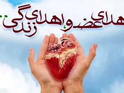 اهدای زندگی از امیدیه؛ کبد و کلیه‌های جوان ۳۹ ساله به بیماران نیازمند رسید