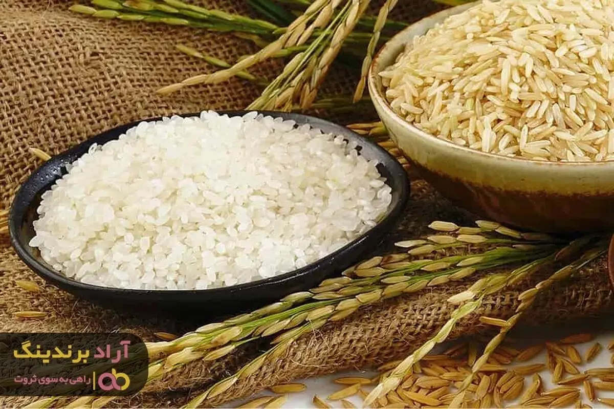 بزرگترین مشکل انسان درون خودش است