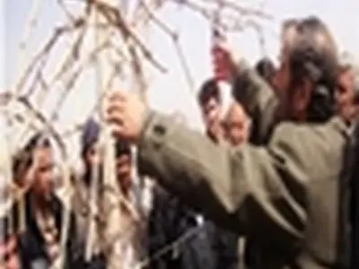 همایش یک روزه هرس و تغذیه درخت انگور، در بناب برگزار شد