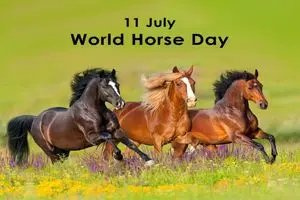 11 ژوئیه روز جهانی اسب است