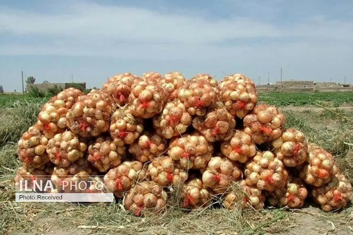 صدای کشاورزان متضرر جنوب کرمان به جایی نمی رسد/ خسارت های میلیاردی که جبران نخواهند شد