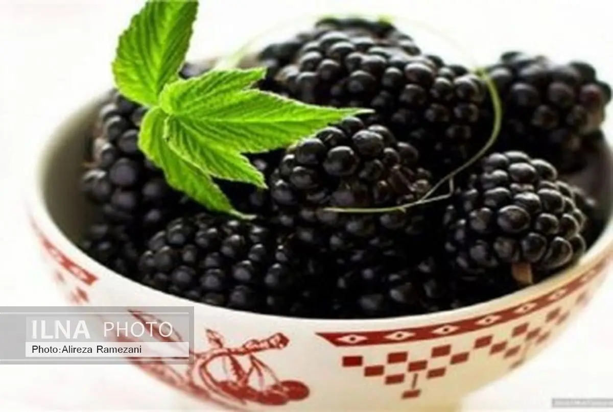 شاتوت و  عناب گرانترین میوه های تابستانه