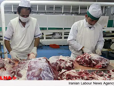 معدوم سازی لاشه یک رأس گاومیش کشتاری در شوش