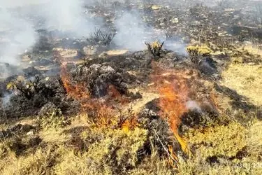 مهار آتش‌سوزی پس از 3 ساعت تلاش بی وقفه در آق داغ شهرستان خلحال /20 هکتار طعمه حریق شد