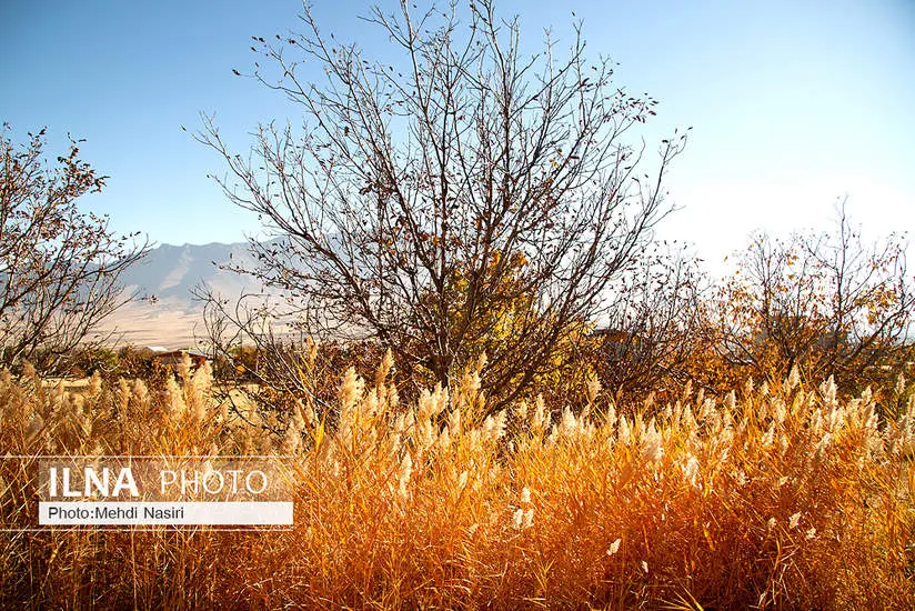  طبیعت پاییزی روستای سرسختی علیا