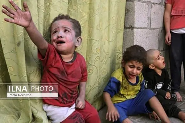 Gaza death toll reaches 31,341 martyrs