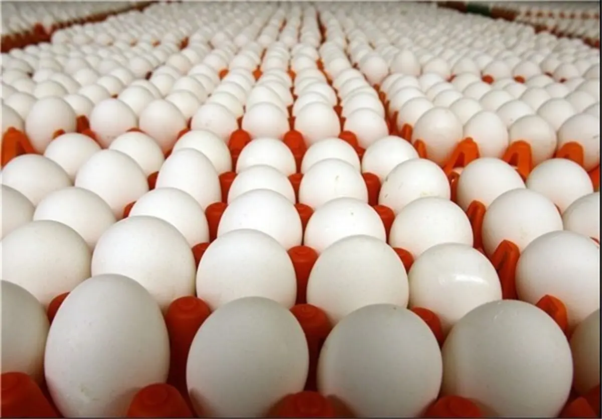 قیمت انواع تخم مرغ کیلویی و بسته بندی در بازار+جدول