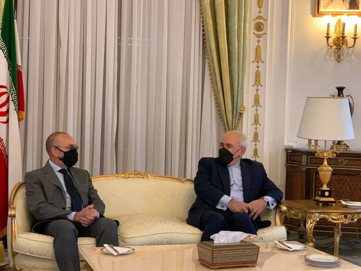 ظریف با رئیس کمیسیون سیاست خارجی مجلس سنای ایتالیا دیدار کرد