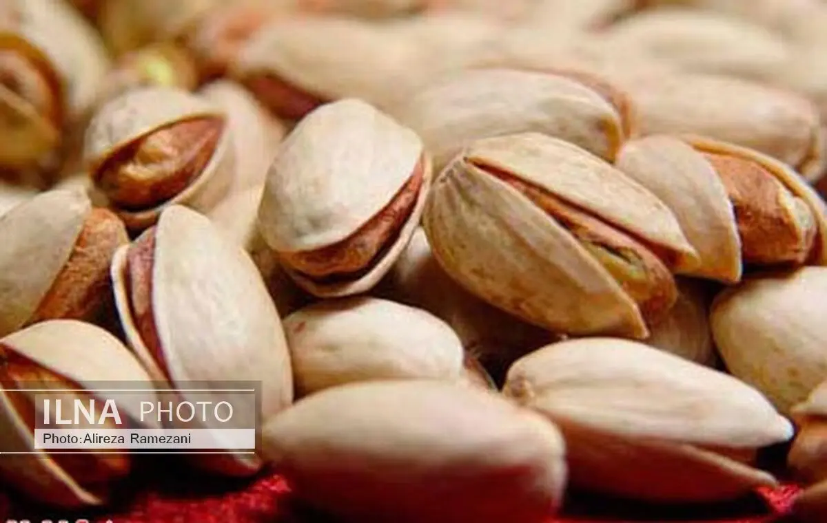 Iran issues policy package for boosting of non-oil exports