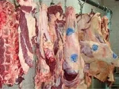 تشدید نظارت بر مراکز عرضه فرآورده‌های خام دامی در کرمانشاه