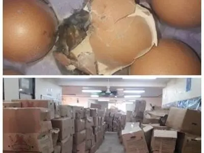پلمپ محموله ۵ تریلر حامل تخم مرغ در سوسنگرد