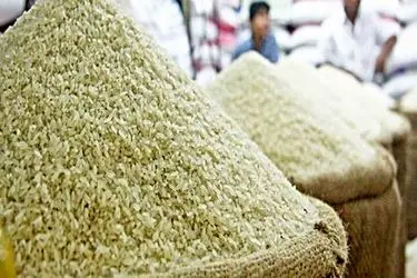 افزایش ۵ درصدی تولید برنج سفید در گیلان