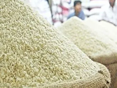واردکنندگان واقعیت تولید برنج را نادیده می‌گیرند