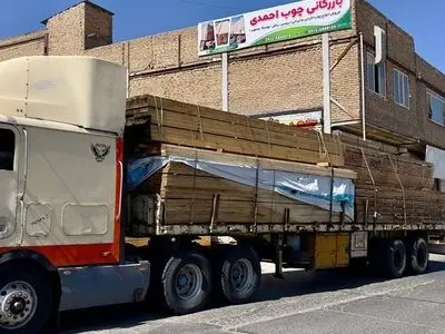 تحلیل اختصاصی ایلنا از بازار چوب ایران؛ جهش تقاضا برای چوب روسی و چوب راش ترک