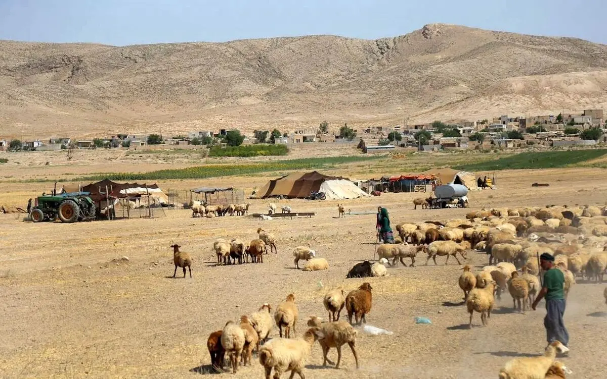 توزیع ۴۰۰ تانکر ۱۲ هزار لیتری آب در مناطق ییلاقی یزد