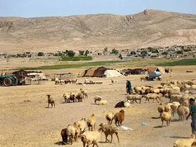 سالانه ۳۰۰۰ تانکر آبرسانی برای عشایر استان اعزام می شود /۶۰ تا ۷۰ درصد عشایر فاقد بیمه درمانی هستند