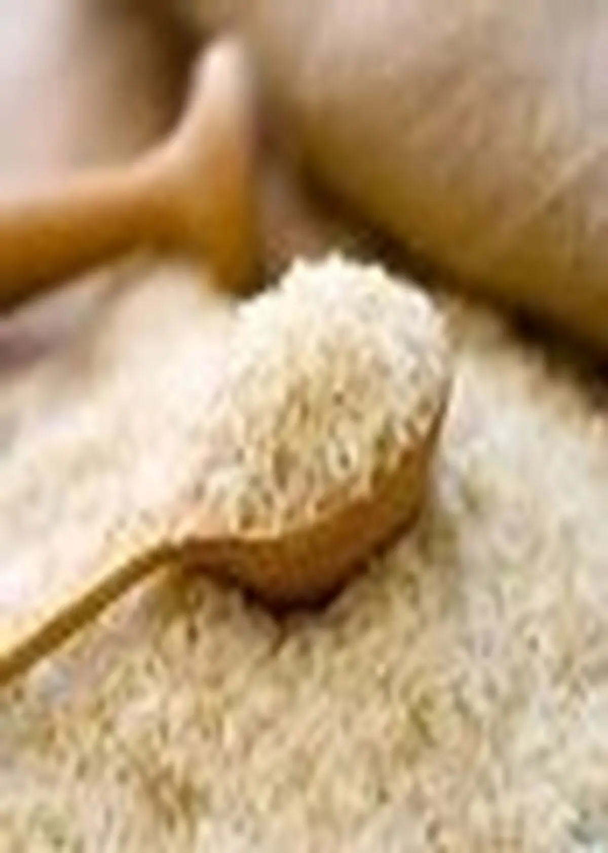 قیمت انواع برنج تولیدی استان مازندران