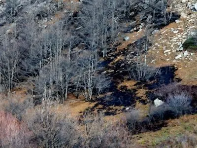 شعله‌های آتش در جنگل‌های «لیکر» مرزن‌آباد فروکش کرد؛ مهار کامل حریق با مشارکت همه‌جانبه