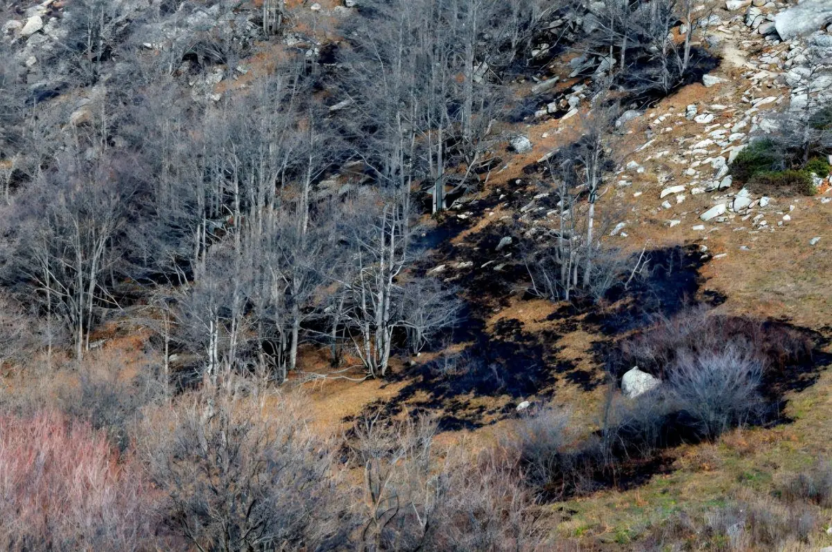 شعله‌های آتش در جنگل‌های «لیکر» مرزن‌آباد فروکش کرد؛ مهار کامل حریق با مشارکت همه‌جانبه