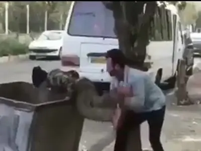 فرد اهانت‌کننده به کودک زباله‌گرد بازداشت شد