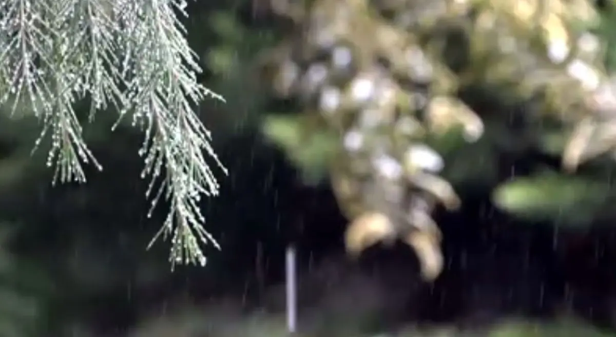 تداوم سامانه سرد و بارشی تا فردا شب در گیلان