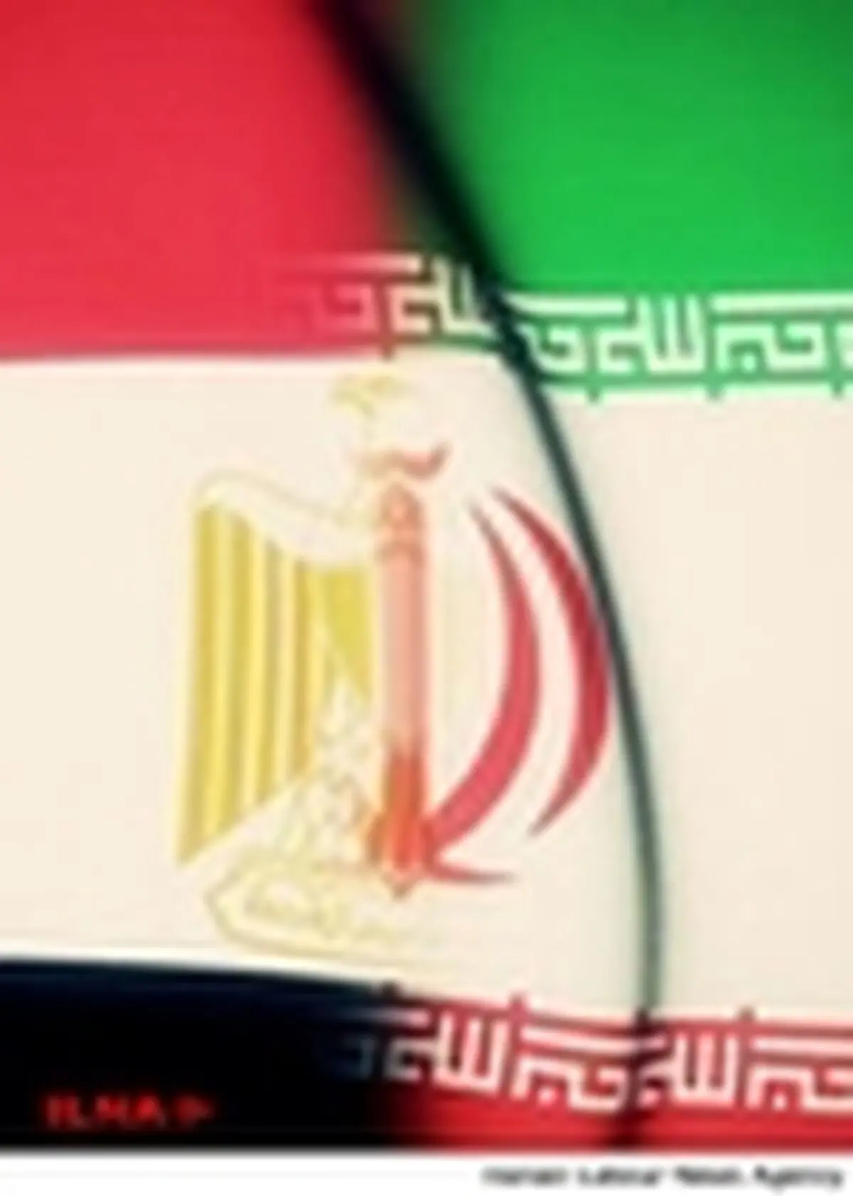 جشن پیروزی انقلاب اسلامی در مصر برگزار شد