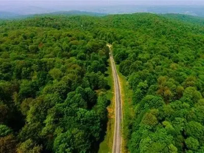 نگاهی به حفاظت از جنگل‌های هیرکانی در «طبیعت ۳۶۰ درجه» 
