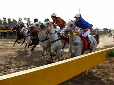 رقابت ۵۴ رأس اسب در هفته چهارم کورس پاییز و زمستانه اهواز