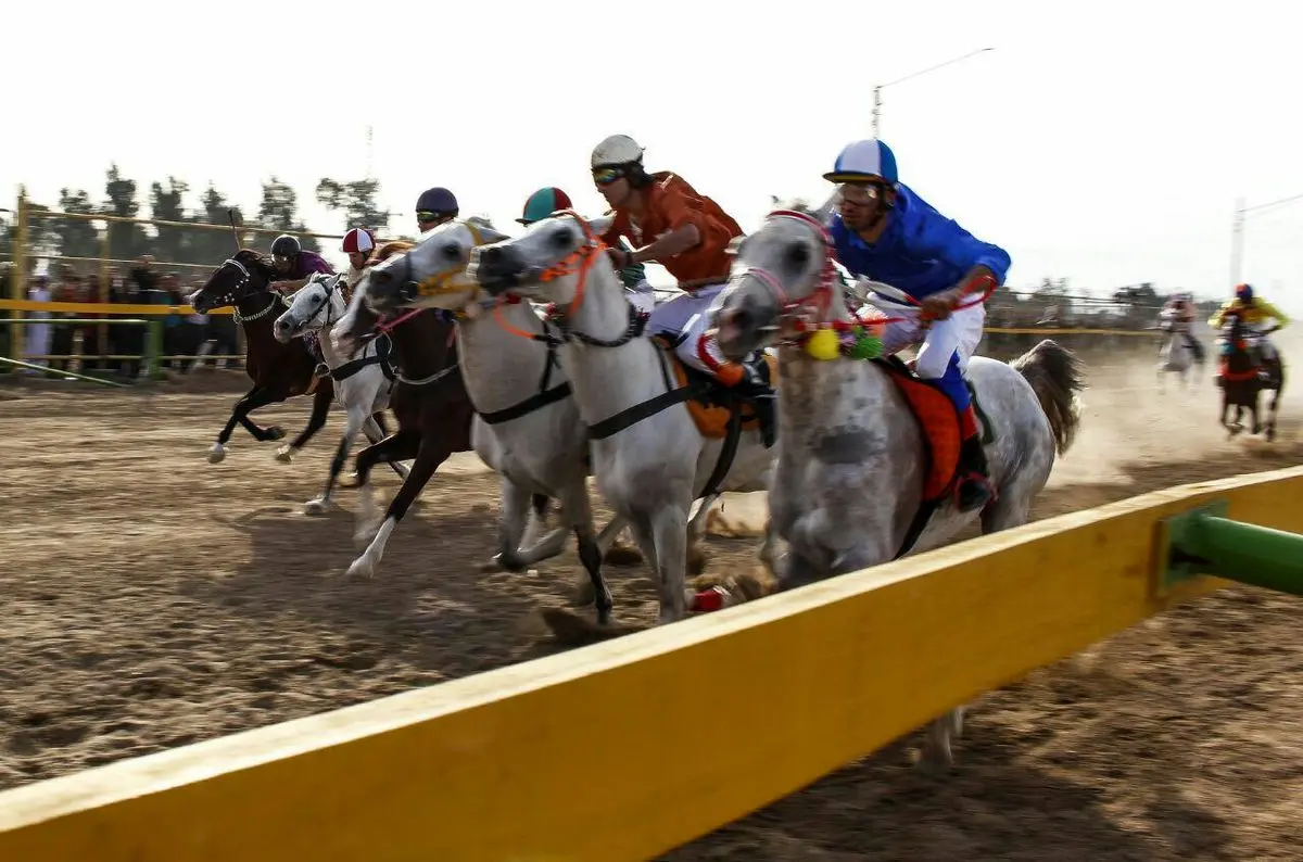 رقابت ۵۴ رأس اسب در هفته چهارم کورس پاییز و زمستانه اهواز