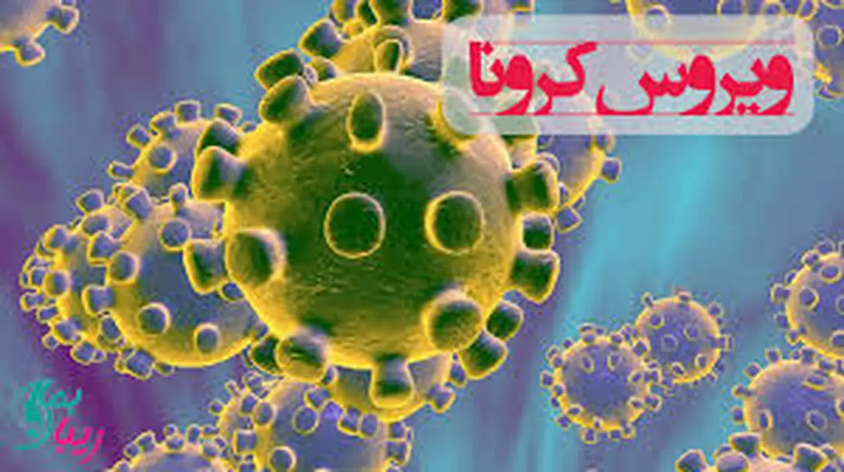 هیچگونه بیمار مبتلا به کرونا در سطح استان گزارش نشده است