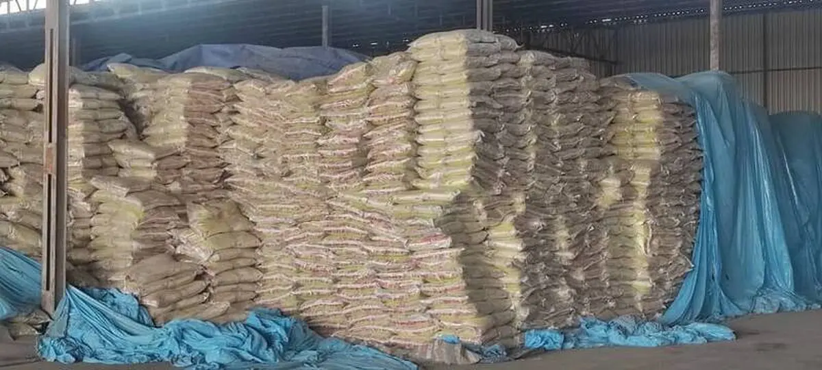 کشف بیش از 18 تن برنج احتکاری در استان یزد 