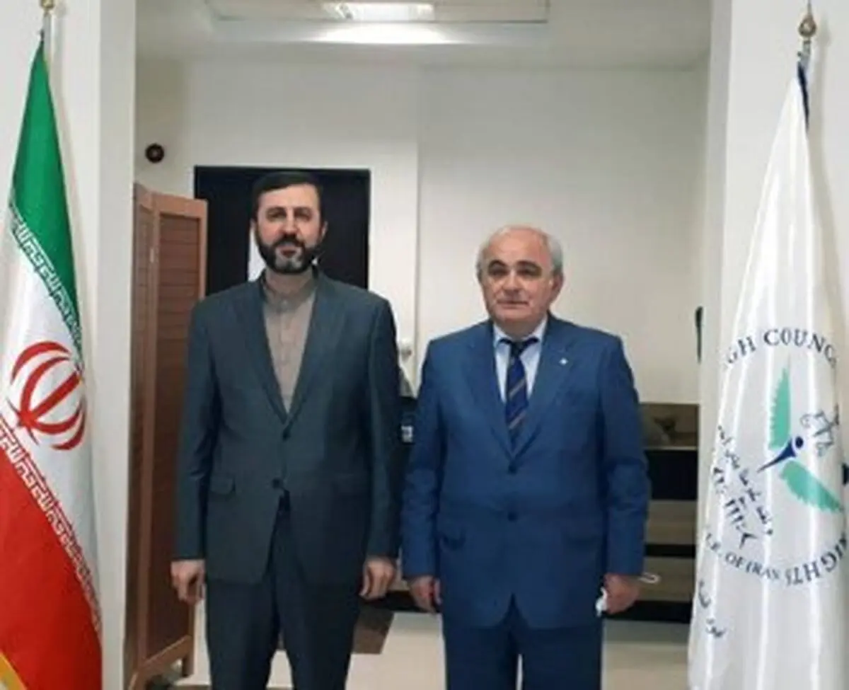 دیدر سفیر روسیه در ایران با معاون امور بین‌الملل قوه قضائیه