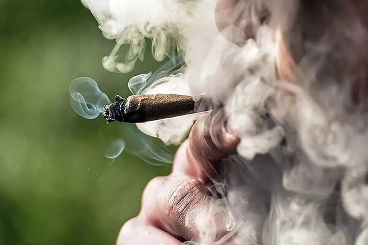 نخستین نشانه‌های مصرف گل

