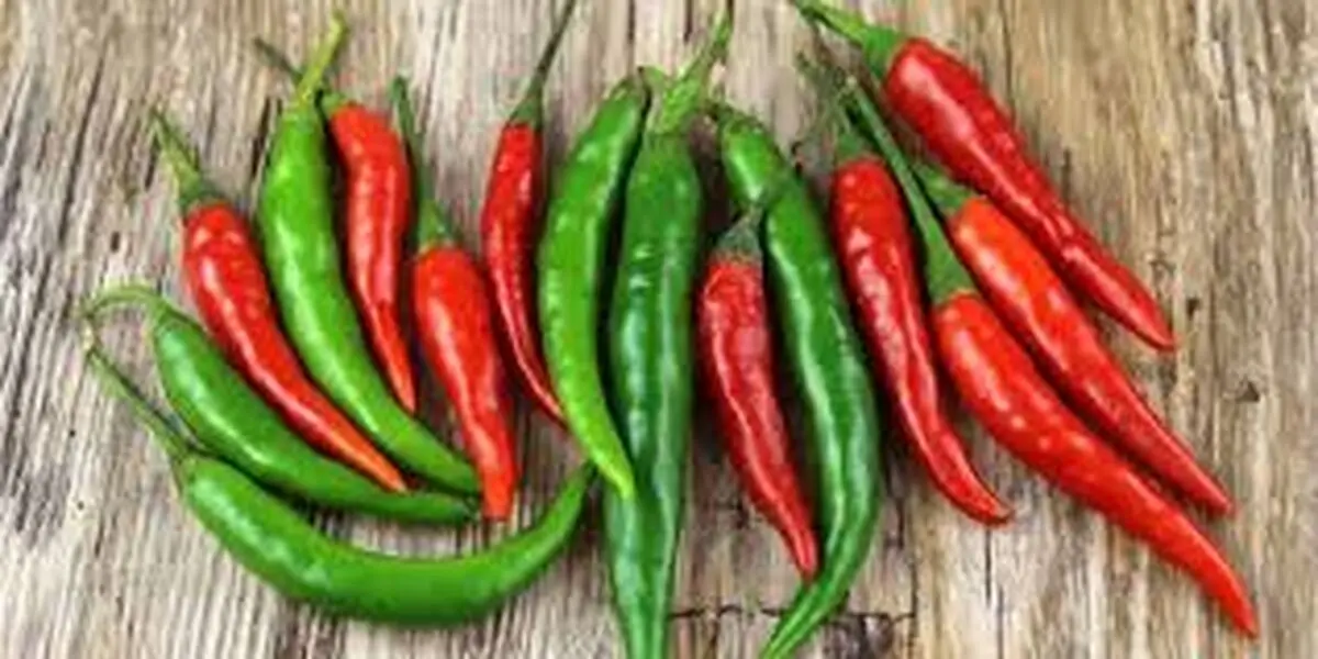 لاغری فوری با غذاهای تند