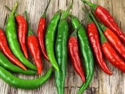 لاغری فوری با غذاهای تند