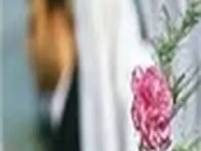 ۱۵۶ هدیه جهیزیه به نوعروسان کمیته امداد آمل اهدا شد