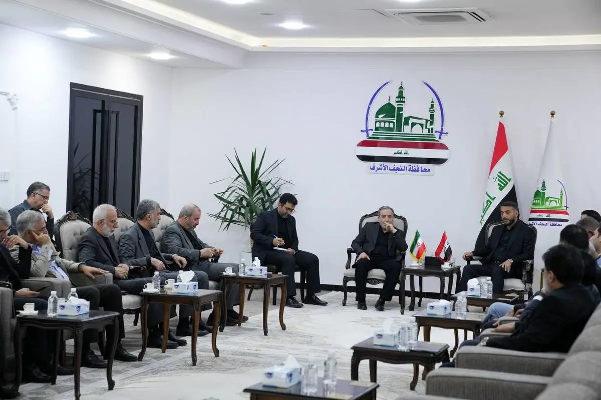 دیدار استاندار نجف اشرف با وزیر امور خارجه دیدار کرد