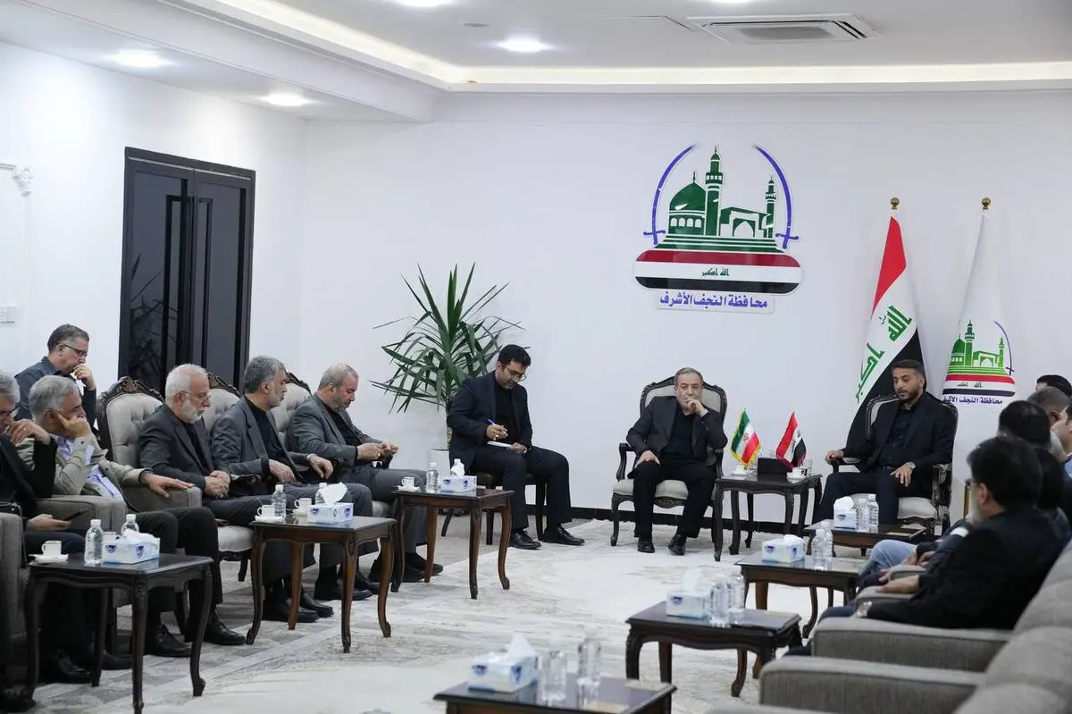 دیدار استاندار نجف اشرف با وزیر امور خارجه دیدار کرد