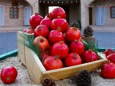 انار تولید شده در ایران کاملاً ارگانیک است / حتی یک قطره سم اجازه ورود به باغات انار را پیدا نکرده است