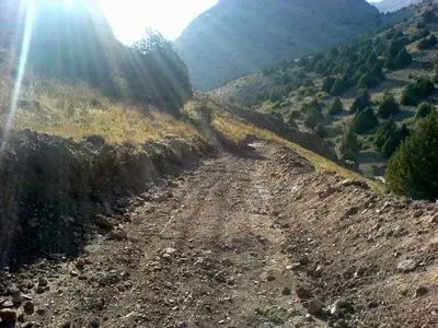 احداث غیرقانونی جاده در جنگل و قطع درختان ارس برای اجرای پروژه گردشگری سیب