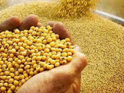 عشایر  کهگیلویه و بویراحمد باید نهاده‌های دامی را با قیمت آزاد خریداری کنند