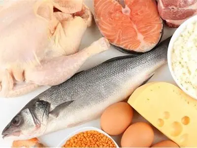 افزایش منطقی قیمت مرغ و ماهی در بازار