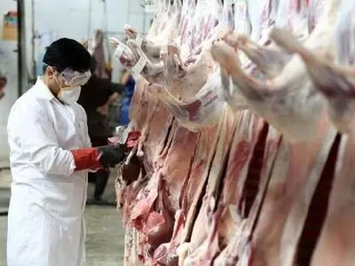 کشف بیش از هزار تُن گوشت غیربهداشتی در خراسان رضوی