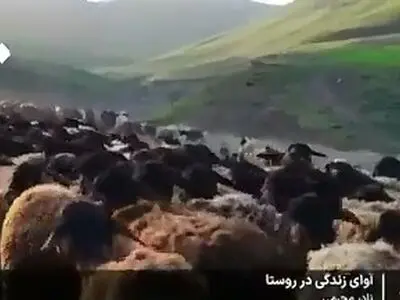 آوای زندگی در روستاهای زنجان + فیلم