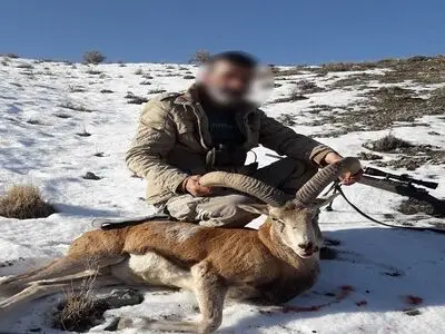 دستگیری سردسته باند شکار غیرمجاز در پردیس