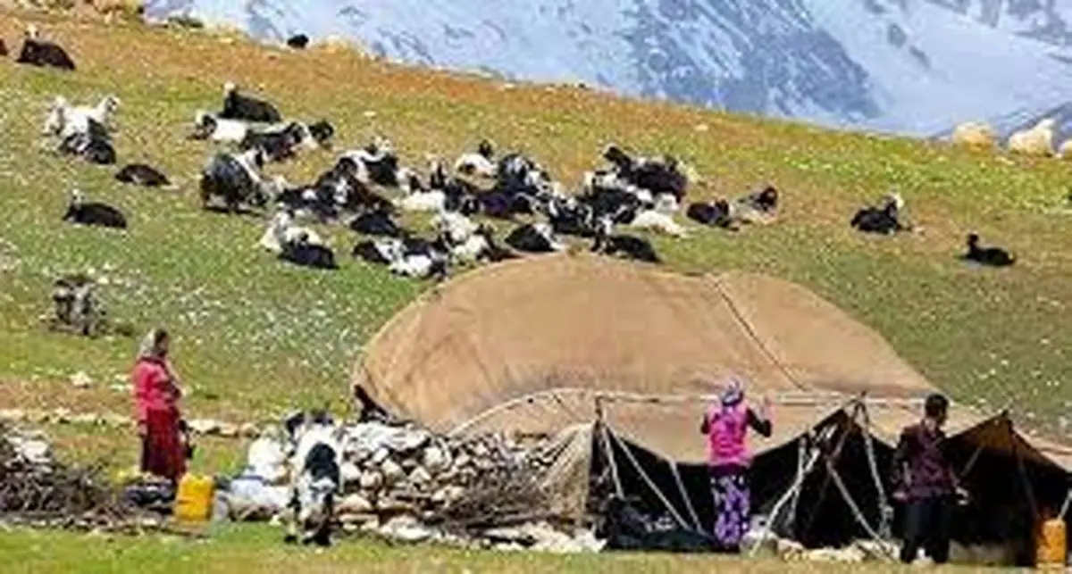 ورود وزارت کشور به اختلاف میان عشایر ایل زوله کرمانشاه و طایفه‌ای در دشت آزادگان خوزستان