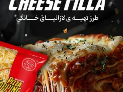 خاطرات ناب را با ۲۰۶ بساز