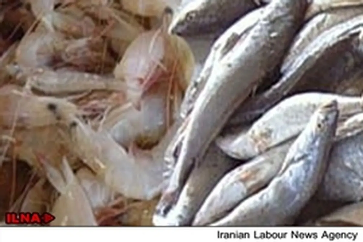 صادرات میگو و ماهی مستلزم رفع موانع تعرفه ای و داخلی است